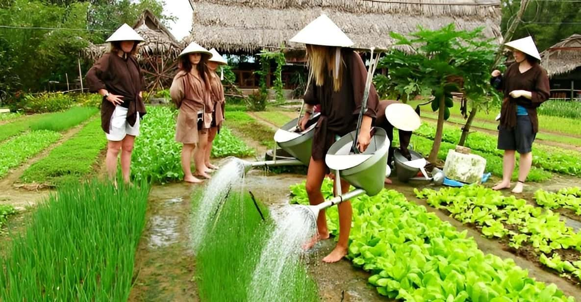 Tra Que Village Vegetable Farm Experience by Bike - Overview of the Experience