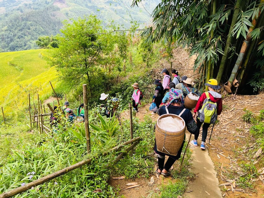 Trekking Sapa 1 Day – the Best Terraced Rice Field