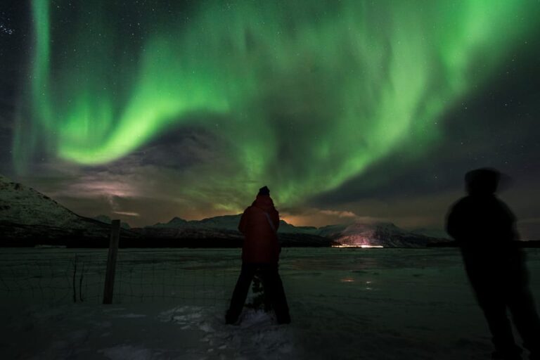 Tromsø Northern Lights – Private Group Tour With Local Guide