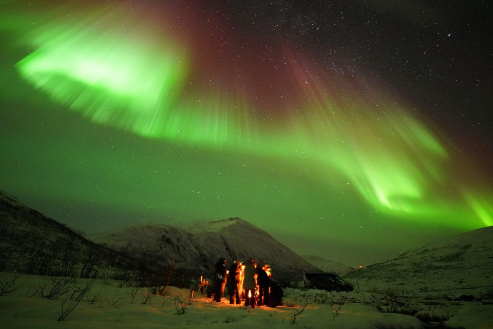 Tromsø: Northern Lights Tour With Free Professional Portrait - Tour Overview