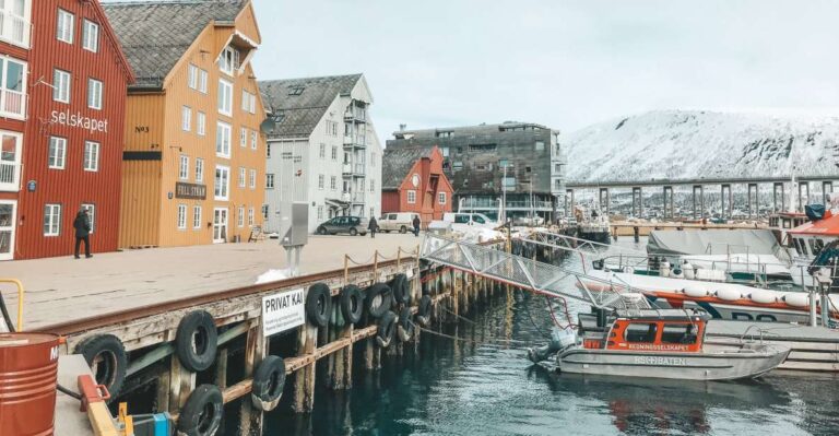 Tromsø: Private City Tour