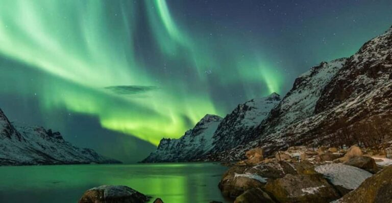 Tromsø: Private or Semi-private Northern Lights Tour