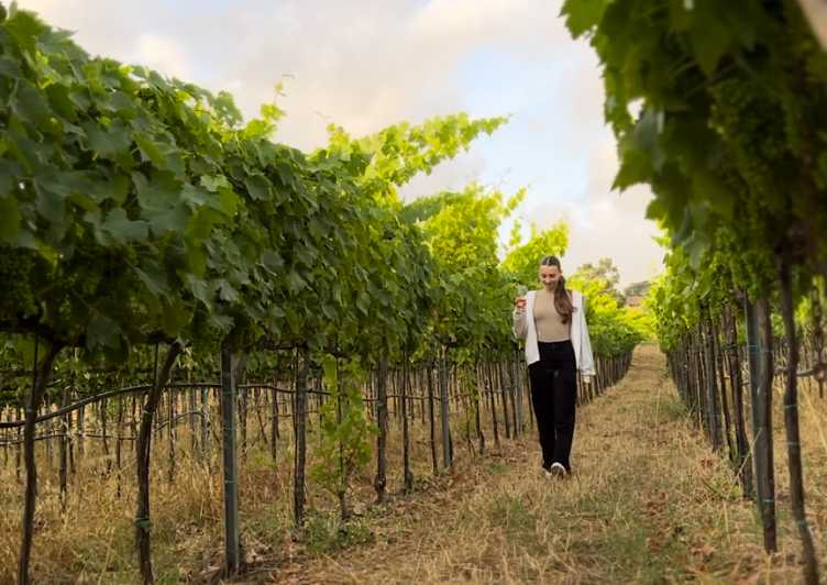 Tropea: Wine and Food Tasting