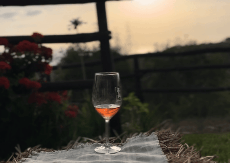 Tropea: Wine and Food Tasting - Buffet of Calabrian Specialties