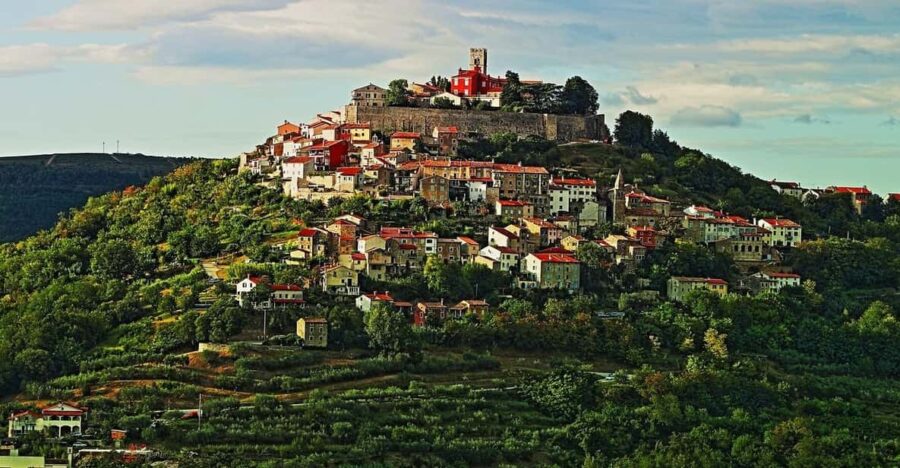 Truffle Hunting in Istria Private Experience