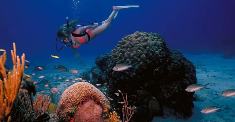 Try Scuba Diving in Racha Yai/noi: 3 Dives for Non-Certified