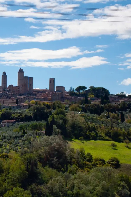 Tuscanys Heart: Wine Tasting of 3 Wines in Iconic Location