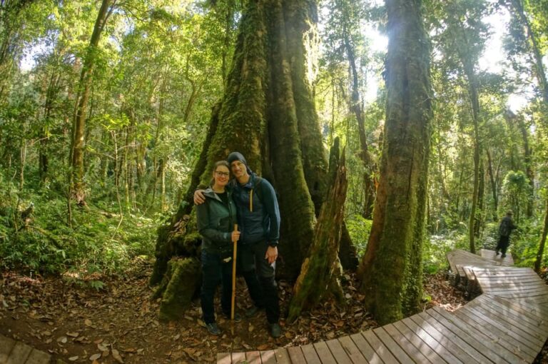 Two Days Doi Inthanon National Park