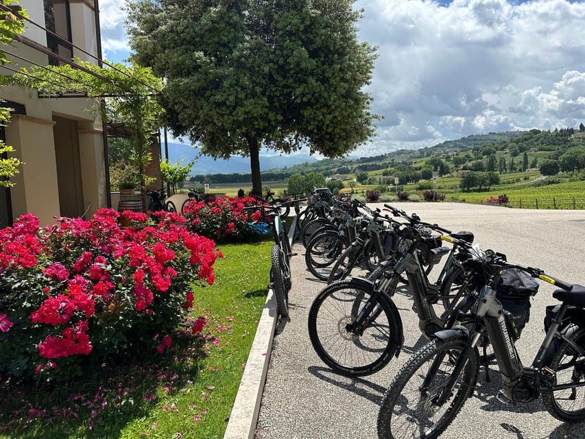 Umbrian Valley: Medieval Villages & Aromatic Oil Guided Tour - Itinerary Highlights