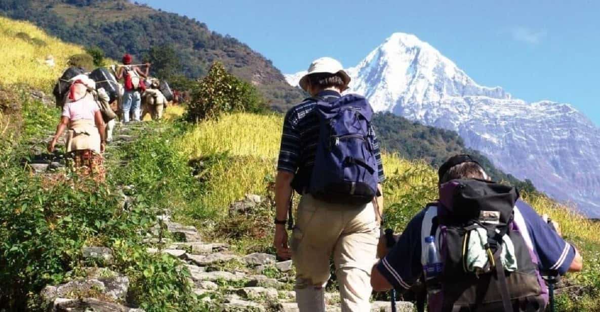 Unforgettable Pokhara to Annapurna Foothills Day Hike - Overview of the Day Hike