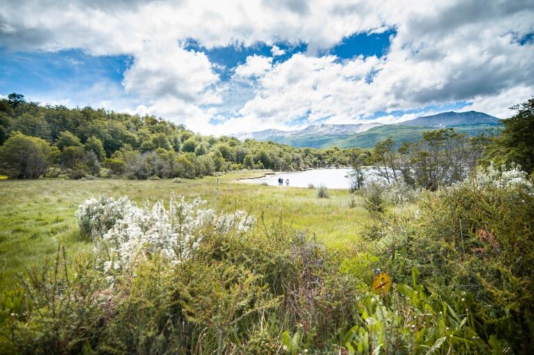 Ushuaia: Full Day Trip to Tierra Del Fuego National Park