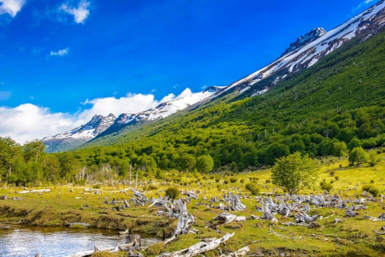 Ushuaia: Shared Experience Tierra Del Fuego National Park