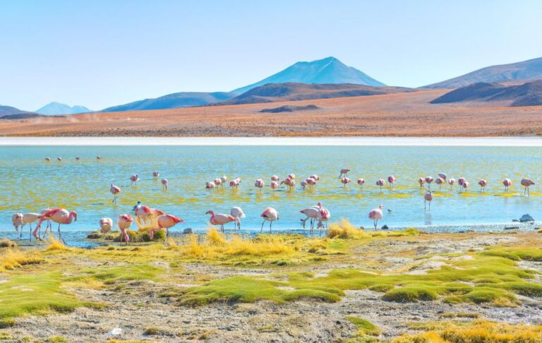 Uyuni Salt Flats and Red Lagoon 3-Days | English in Guide |