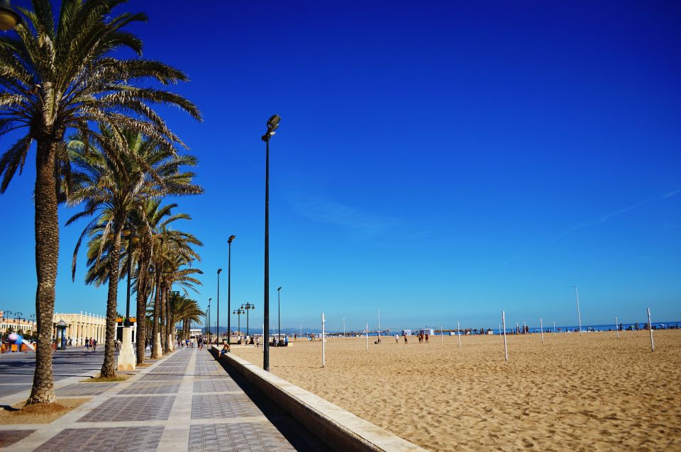 Valencia: 3-Hour Guided City Sightseeing & Beaches Bike Tour - Tour Overview