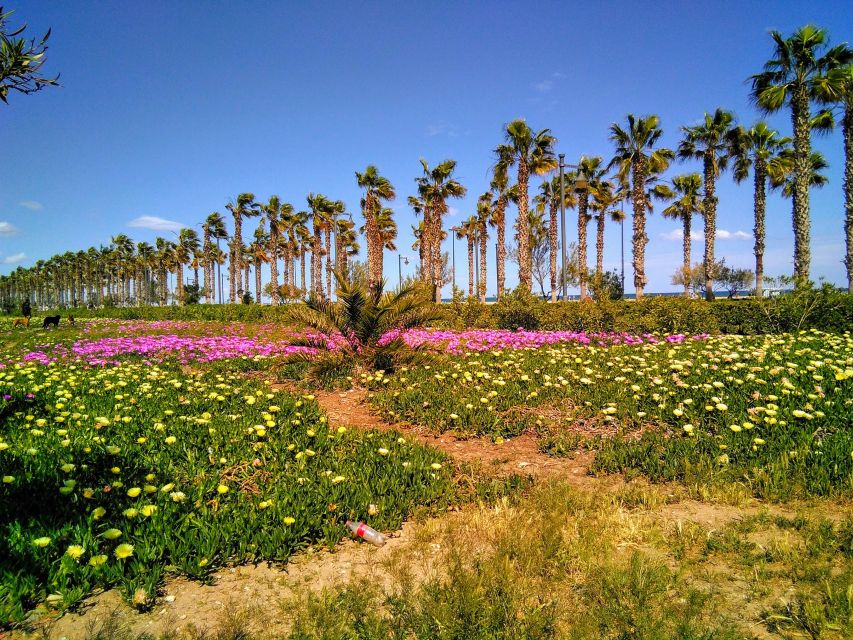 Valencia: Horchata Bike Tour - Booking Information