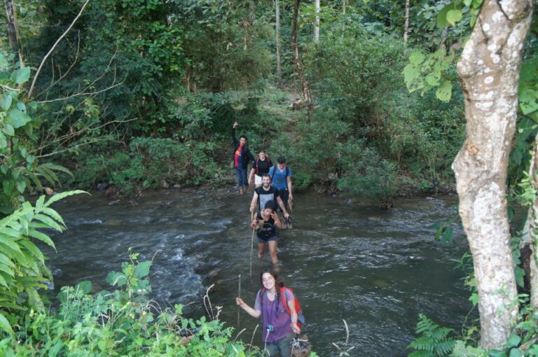 Vang Vieng: Jungle & Caves Full-Day Private Trekking Tour