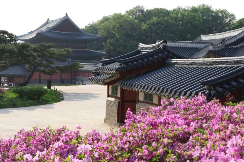 Vegetarian / Halal Seoul City Walking Tour - Highlights of the Experience