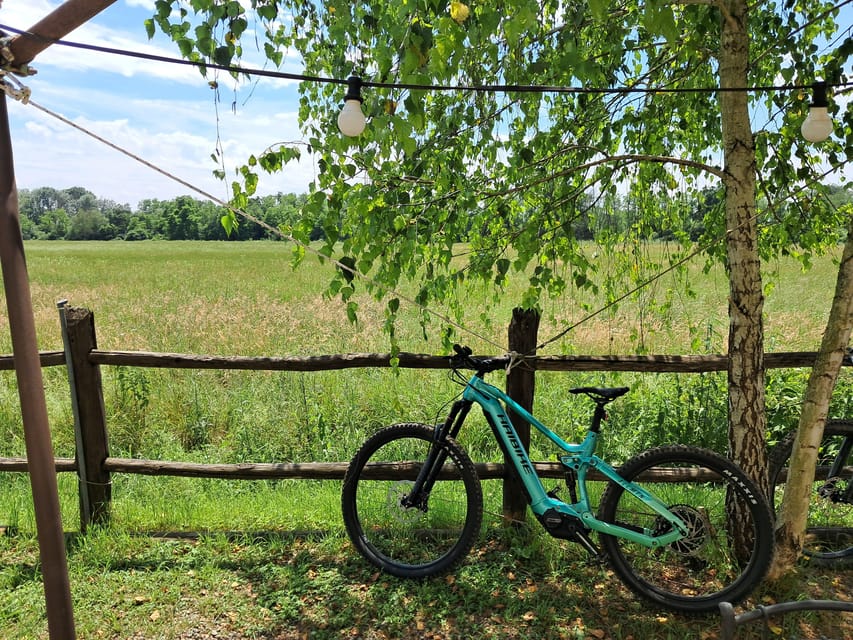 Venaria Reale: Self-Guided E-Bike Tour of Mandria Park - Tour Overview and Pricing