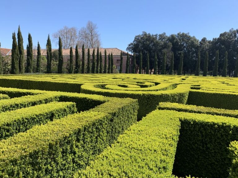 Venice: Borges Labyrinth Experience on San Giorgio Island