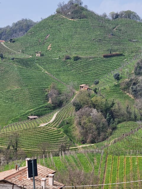 Venice : Prosecco Hills Tour With Tasting and Wine!! - Tour Overview and Pricing