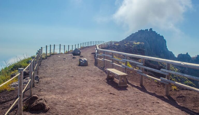 Vesuvius National Park: Skip-The-Line Ticket and Audio Guide