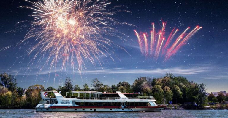 Vienna: Sunset Barbecue Cruise With Fireworks Display