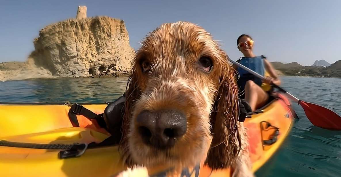 Villajoyosa: Kayaking With the Mans Best Friend, Your Dog - Kayaking Experience Overview