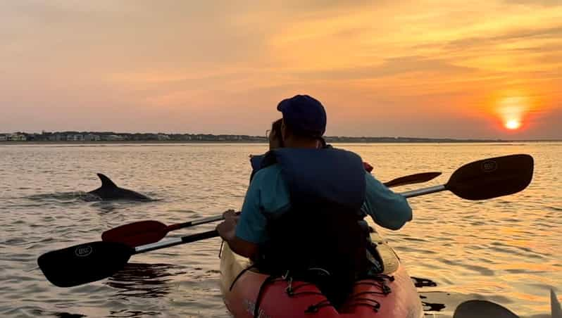 Virginia Beach: Dolphin Watching Guided Kayaking Tour - Tour Overview