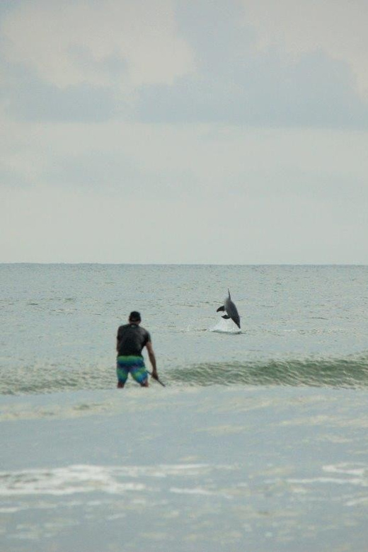 Virginia Beach: Private SUP Ocean Dolphin Adventure - Activity Overview