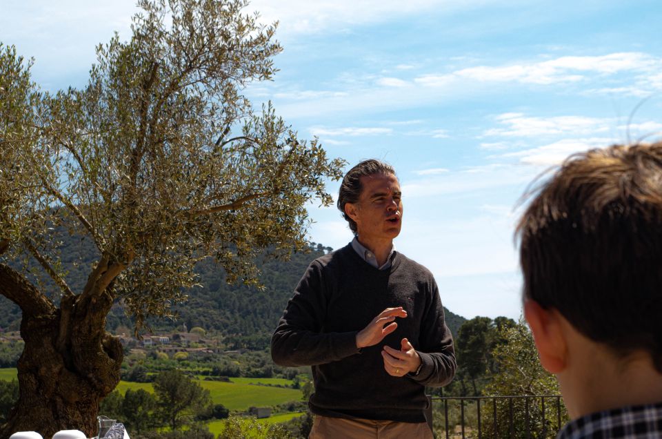 Visit of the Olive Grove, Olive Oil Tasting and Snack - Activity Overview