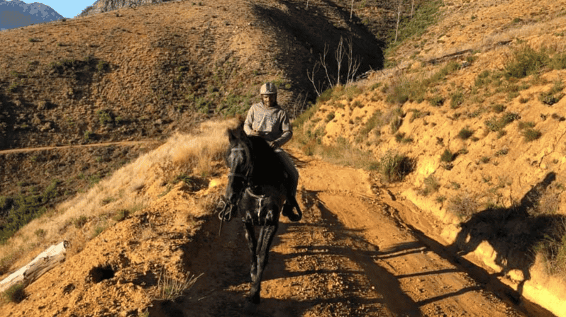 Vrede En Lust Wine Estate: 1h30m Horse Trail Ride - Activity Overview