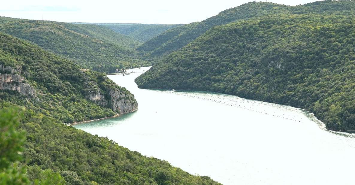 Vrsar: Lim Fjord Boat Tour With Swimming Near Pirates Cave - Tour Overview