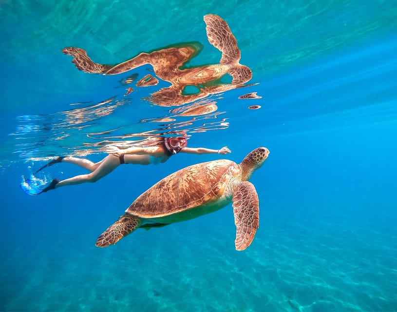 Waikiki: Turtle Snorkeling Cruise With 20FT Jumping Platform - Tour Overview and Pricing