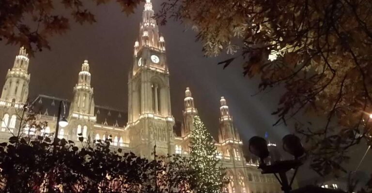 Walking on the Historical Trail of Viennese Christmas Trees