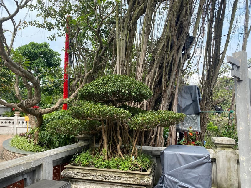 Walking Tour in Hanoi Old Quarter - Tour Overview