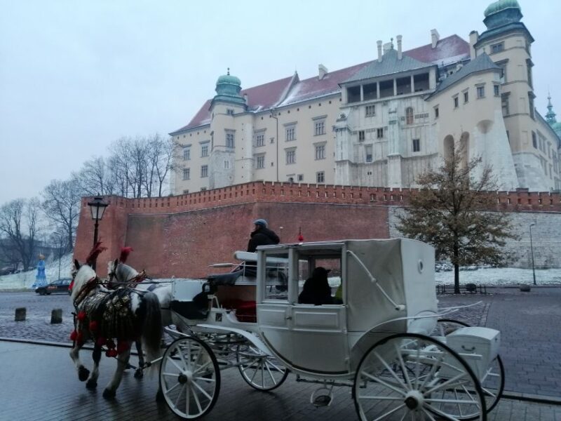 Warsaw: Tour to Krakow and Auschwitz by Train With Pickup - Auschwitz and Birkenau