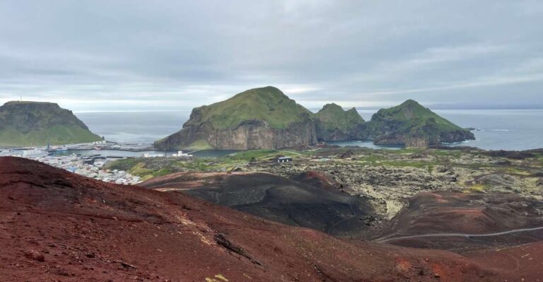 Westman Islands Private Tour