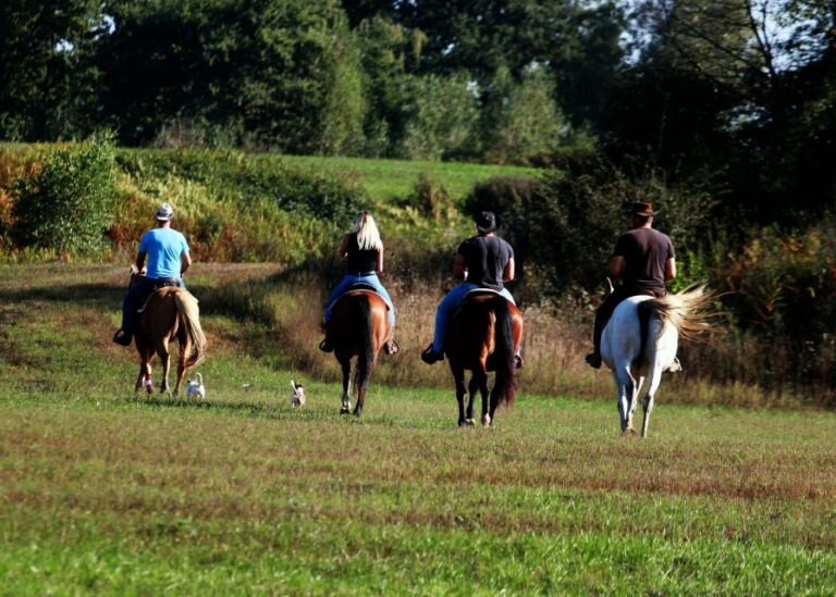 Wild Spring Ranch: Rakovica, Croatia, Horse Riding