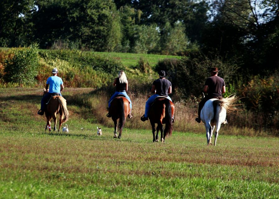 Wild Spring Ranch: Rakovica, Croatia, Horse Riding - Overview and Pricing