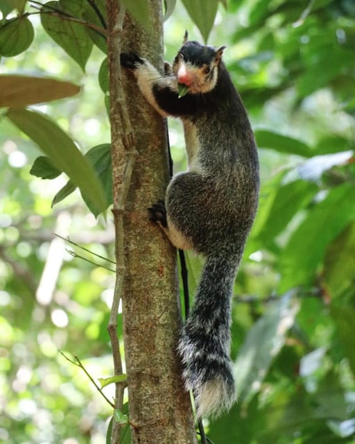 Wildlife Safari to Kaudulla National Park - Overview of Kaudulla National Park