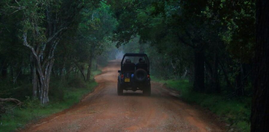 Wilpattu National Park With Safari Jeep & Entrance Ticket - Overview of Wilpattu National Park