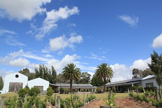 Wine Lovers – Enjoy a Gourmet Lunch in the Countryside!
