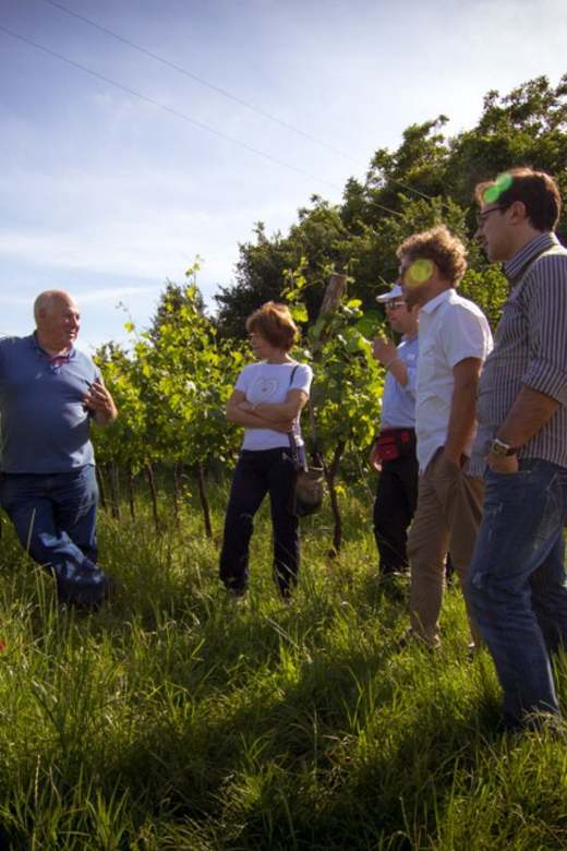 Winery Tour & Tasting on Padova Hills - Pricing and Reservation