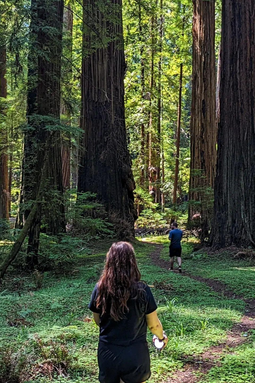 Wonder of the Redwoods - Prairie Creek State Park - Booking and Cancellation Policy