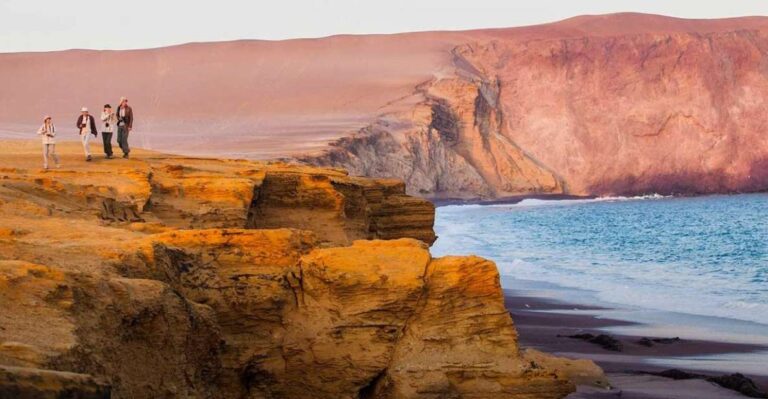 Wonders of Paracas: Ballestas Islands and National Reserve