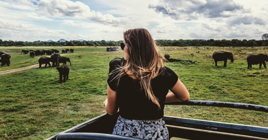 Yala National Park: Morning or Afternoon Golden Hour Safari