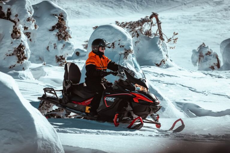 Ylläs: Wilderness Snowmobile Tour