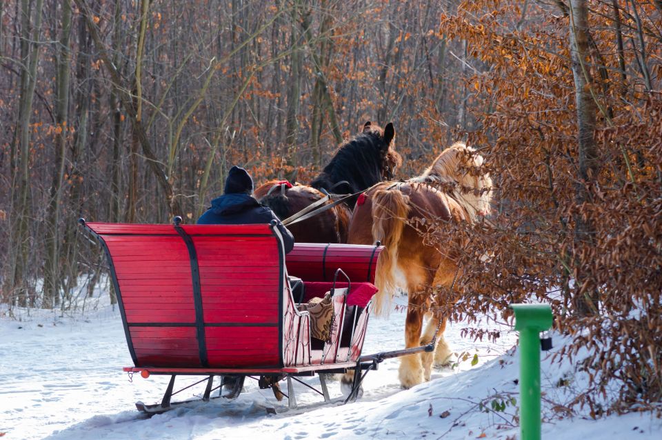 Zakopane: Horse-Drawn Rides With Local Guide & Food Tasting - Overview of the Experience