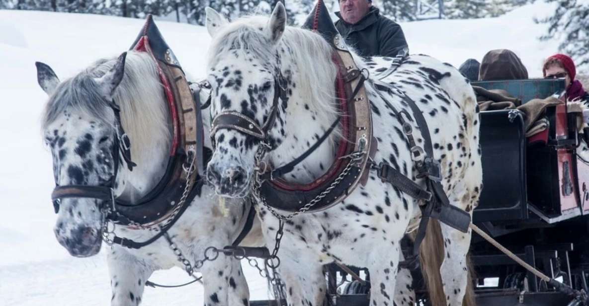 Zakopane: Sleigh Ride With Transfers and Lunch Option - Tour Overview and Pricing