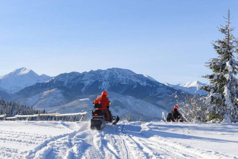 Zakopane: Snowmobiles Expedition and Optional Bonfire